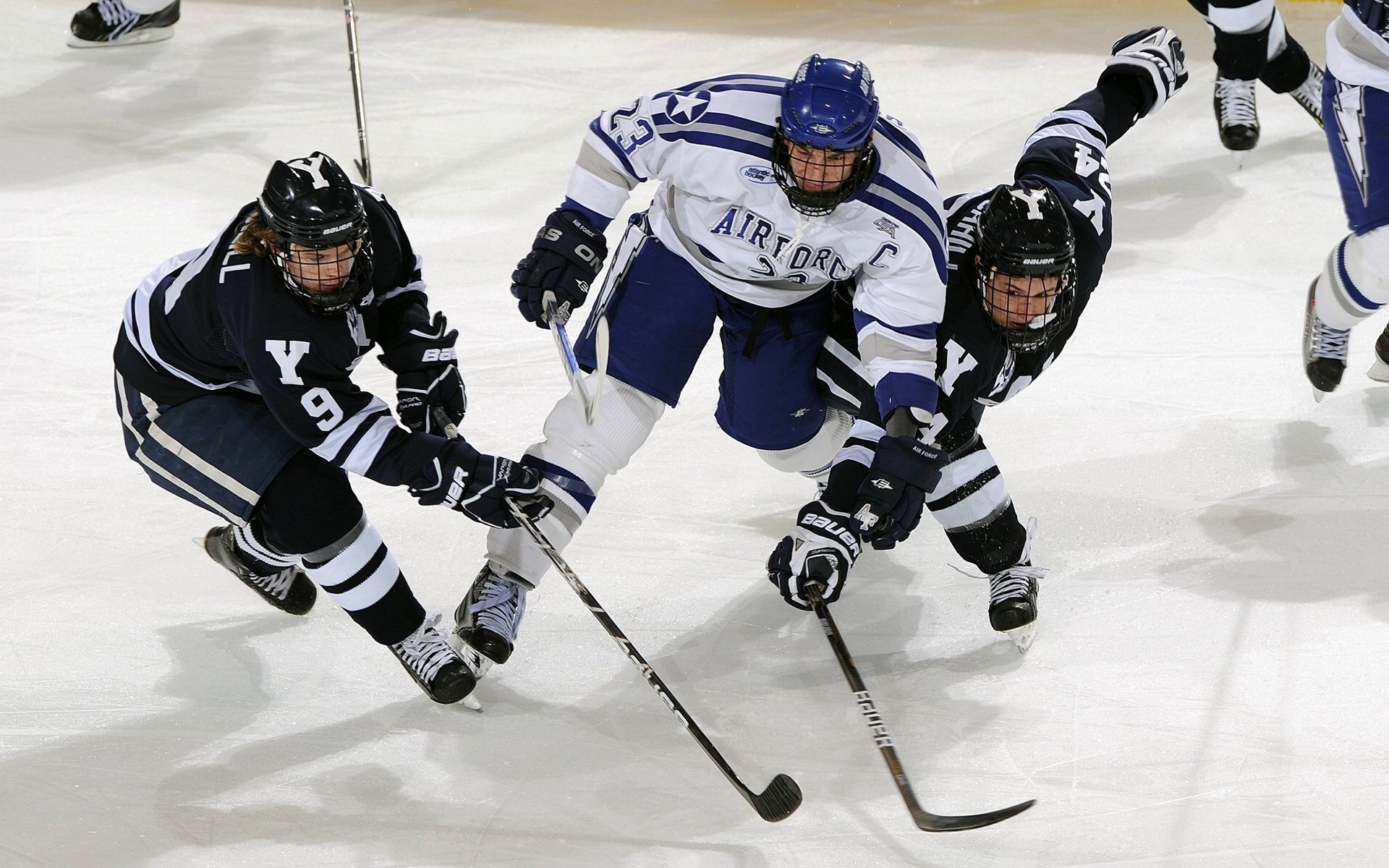哪支橄榄球队将打破传统格局，吸引更多观众？，橄榄球哪支队最厉害